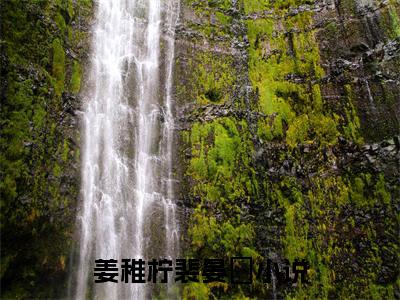 姜稚柠裴晏昇小说全文，姜稚柠裴晏昇无弹窗免费阅读