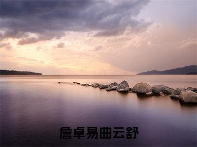 詹卓易曲云舒（詹卓易曲云舒）全文免费阅读无弹窗大结局-詹卓易曲云舒最新章节列表-笔趣阁