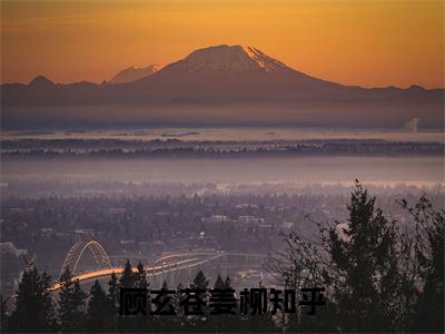 顾玄苍姜柳免费阅读无弹窗最新章节列表_笔趣阁(顾玄苍姜柳)