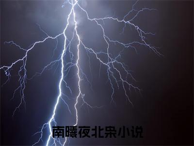 （南曦夜北枭）南曦夜北枭全文免费阅读无弹窗大结局_(南曦夜北枭)南曦夜北枭免费阅读无弹窗最新章节列表_笔趣阁（南曦夜北枭）