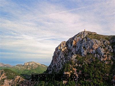 封泽苏暖暖(封泽苏暖暖)小说免费下载全本-封泽苏暖暖（封泽苏暖暖完整版）免费阅读无弹窗（封泽苏暖暖）