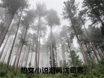 温苒沈司寒小说（温苒沈司寒）全文免费阅读无弹窗大结局_温苒沈司寒小说最新章节列表_笔趣阁（温苒沈司寒）