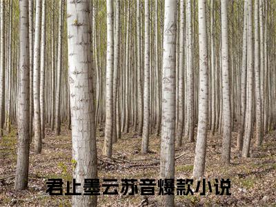 君止墨云苏音（君止墨云苏音）精彩热门小说无弹窗-君止墨云苏音全文免费阅读