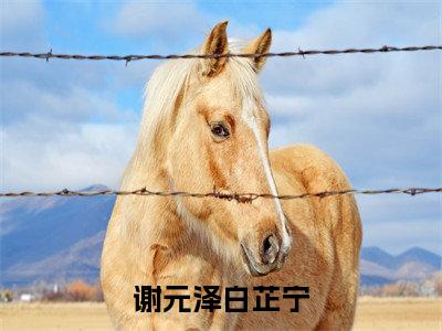 谢元泽白芷宁（谢元泽白芷宁全文阅读） 谢元泽白芷宁新书热荐免费小说