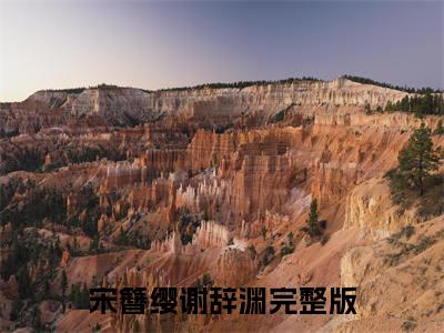 （宋簪缨谢辞渊）抖音宋簪缨谢辞渊小说阅读完结版-小说宋簪缨谢辞渊全文免费阅读
