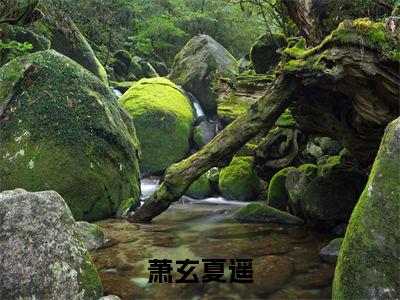 萧玄夏遥(萧玄夏遥)全文免费读无弹窗大结局_萧玄夏遥免费小说无弹窗最新章节列表_笔趣阁