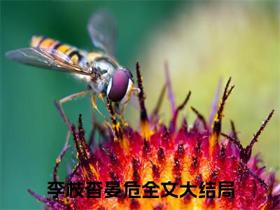 李枝杳晏危（李枝杳晏危）小说全文无广告阅读-李枝杳晏危小说赏析