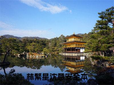 林繁星沈意安小说最新章节阅读-小说（林繁星沈意安）已完结小说精彩大结局