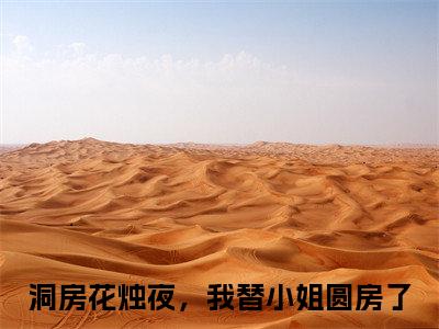 洞房花烛夜，我替小姐圆房了(游小浮褚时烨)全文免费阅读无弹窗大结局_洞房花烛夜，我替小姐圆房了免费试读阅读全文无弹窗_