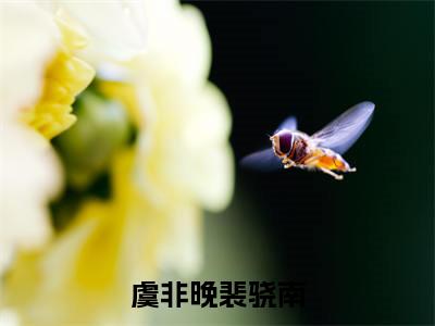 虞非晚裴骁南最新章节免费阅读-虞非晚裴骁南全文无弹窗试读