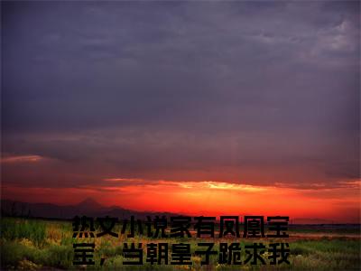 家有凤凰宝宝，当朝皇子跪求我下嫁（战北辰玉青璃）全文在线免费阅读无弹窗_家有凤凰宝宝，当朝皇子跪求我下嫁最新章节列表_笔趣阁
