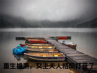 陆又龄程放最新章节（重生换亲，女主夫人格局打开了）小说推荐阅读-新书陆又龄程放精彩阅读