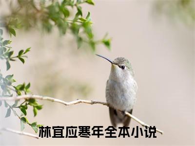 林宜应寒年无广告小说全文免费阅读无弹窗大结局-林宜应寒年在线阅读最新章节列表_笔趣阁
