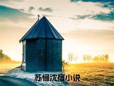 苏悯沈宿小说（苏悯沈宿）最新章节阅读-苏悯沈宿最新热点小说