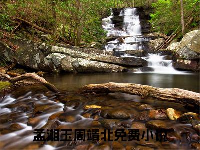 孟湘玉周靖北（孟湘玉周靖北）全文免费阅读-孟湘玉周靖北最新章节列表_笔趣阁