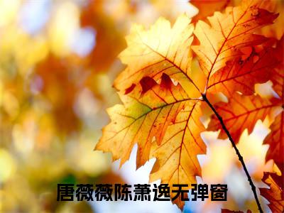 唐薇薇陈萧逸（唐薇薇陈萧逸）全文免费阅读无弹窗大结局_唐薇薇陈萧逸全文阅读_笔趣阁（唐薇薇陈萧逸）