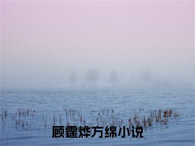 顾霆烨方绵（顾霆烨方绵小说）小说全文免费阅读无弹窗大结局_（顾霆烨方绵）顾霆烨方绵最新章节列表_笔趣阁
