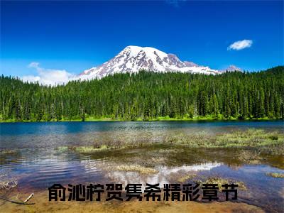 俞沁柠贺隽希（俞沁柠贺隽希）全文免费阅读无弹窗大结局-俞沁柠贺隽希全文未删减阅读（俞沁柠贺隽希）