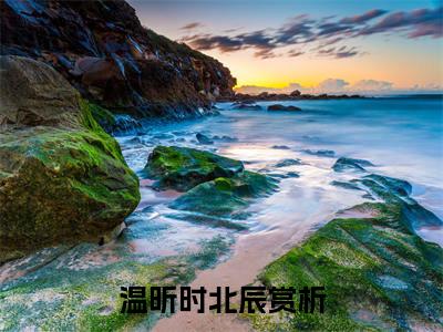 温昕时北辰（温昕时北辰）全文免费阅读无弹窗大结局-温昕时北辰全文未删减阅读（温昕时北辰）