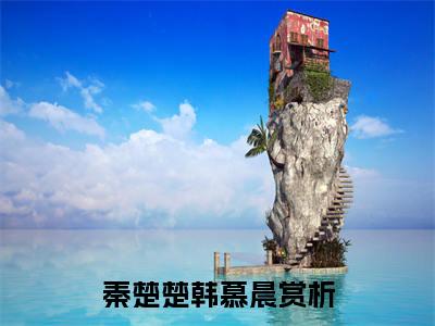 秦楚楚韩慕晨阅读无弹窗大结局_秦楚楚韩慕晨最新章节列表_笔趣阁