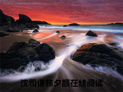 沈司谨林夕颜小说（沈司谨林夕颜）全文免费阅读无弹窗大结局_（沈司谨林夕颜小说全文免费阅读无弹窗）沈司谨林夕颜最新章节列表_笔趣阁（沈司谨林夕颜小说）