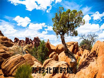 苏矜北周时韫（苏矜北周时韫小说）全文免费阅读无弹窗大结局_(苏矜北周时韫小说免费阅读全文大结局)最新章节列表_笔趣阁（苏矜北周时韫）