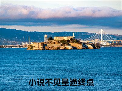新书热荐沈淮琛林明殊全文免费阅读无弹窗大结局-小说不见星途终点全文完整版免费阅读