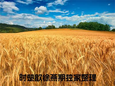 时楚歆徐燕期(时楚歆徐燕期)全文免费阅读无弹窗大结局_ 时楚歆徐燕期免费阅读最新章节列表_笔趣阁