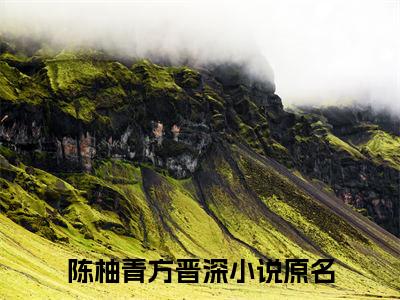 陈柚青方晋深小说（陈柚青方晋深）全文免费阅读无弹窗大结局_（陈柚青方晋深小说全文免费阅读无弹窗）陈柚青方晋深最新章节列表_笔趣阁（陈柚青方晋深小说）