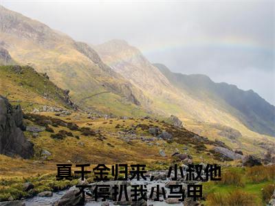 傅砚辞沈知意小说全文免费阅读无弹窗-（真千金归来，小叔他不停扒我小马甲阅读无弹窗）穿越小说免费阅读_笔趣阁