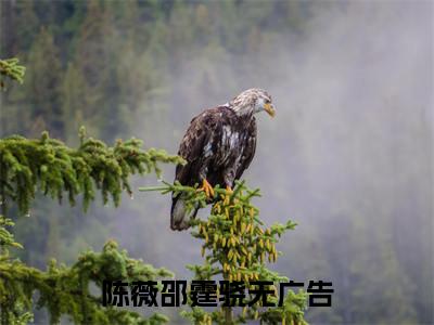 陈薇邵霆骁全文小说（陈薇邵霆骁）全文阅读-陈薇邵霆骁在线小说免费阅读