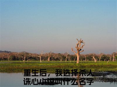 刘宇孟婷程川全文无弹窗阅读 重生后，我选择杀人诛心大结局全文免费