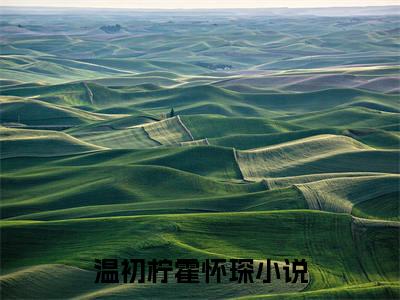 温初柠霍怀琛（温初柠霍怀琛）最新热门小说-温初柠霍怀琛免费阅读