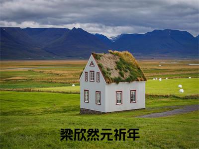 梁欣然元祈年阅读无弹窗大结局_（梁欣然元祈年阅读无弹窗）梁欣然元祈年最新章节列表_笔趣阁（梁欣然元祈年）