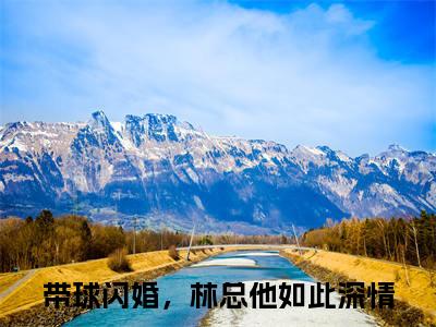 林见阳姜芸小说主角叫什么 带球闪婚，林总他如此深情全文免费阅读大结局