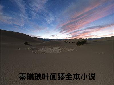 秦琳琅叶闻臻全文免费阅读（秦琳琅叶闻臻）全文免费阅读大结局_秦琳琅叶闻臻全文免费阅读无弹窗_笔趣阁