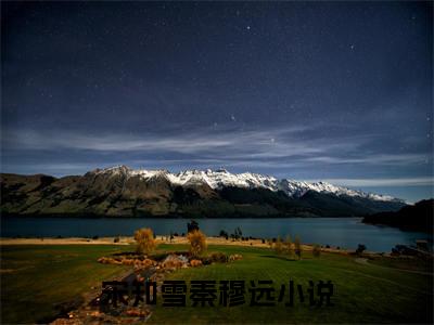 小说宋知雪秦穆远叫什么名字-宋知雪秦穆远长篇免费试读