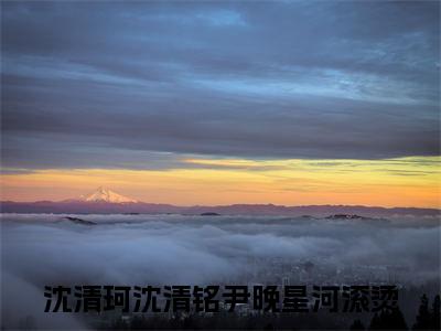 沈清珂沈清铭尹晚（沈清珂沈清铭尹晚）全文免费阅读无弹窗大结局_星河滚烫最新章节列表_笔趣阁