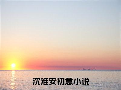 沈淮安初意（沈淮安初意）全文免费阅读无弹窗大结局_沈淮安初意最新章节列表笔趣阁