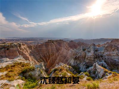 沈臻赵知晏正版小说在线阅读，沈臻赵知晏免费在线阅读