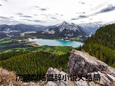 沈棠梨陆温辞最火免费小说最新更新-沈棠梨陆温辞全文在线阅读