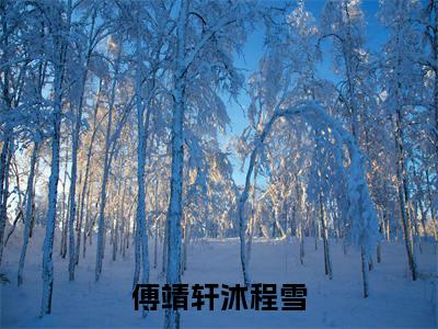 小说傅靖轩沐程雪叫什么名字-傅靖轩沐程雪长篇免费试读