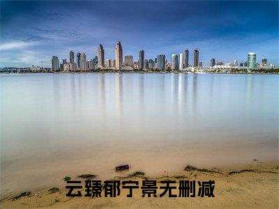 云臻郁宁景新上精彩热文小说全文-云臻郁宁景完整版全文在线赏析