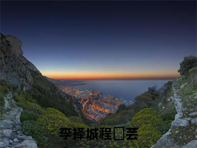 李择城程苪芸小说（李择城程苪芸）完整版全文在线赏析-小说全文大结局已完结