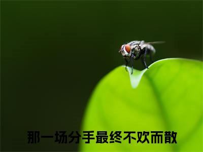 沈徇晏江柒柒（那一场分手最终不欢而散）全文免费阅读无弹窗大结局_(沈徇晏江柒柒阅读全文大结局)那一场分手最终不欢而散最新章节列表（那一场分手最终不欢而散）