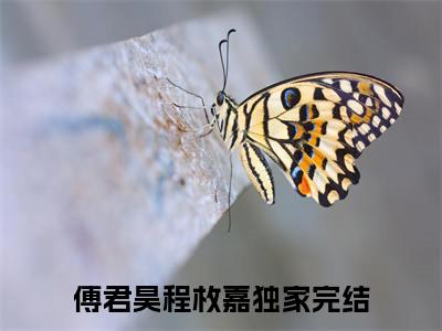 傅君昊程枚嘉（傅君昊程枚嘉）正版小说最新章节在线阅读_（傅君昊程枚嘉全文免费阅读无弹窗）