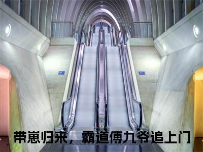 带崽归来，霸道傅九爷追上门（傅辞深向绵）全文免费阅读无弹窗大结局_傅辞深向绵最新章节列表