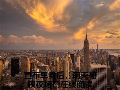 林斯理周豫新书热荐免费小说宣布单身后，前夫哥夜夜堵门全文完整版-宣布单身后，前夫哥夜夜堵门知乎小说