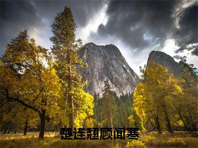楚连翘顾闻寒小说全文大结局-楚连翘顾闻寒（楚连翘顾闻寒）小说全文免费阅读