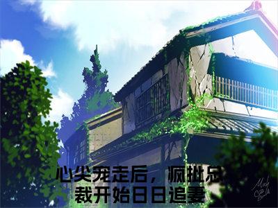 心尖宠走后，疯批总裁开始日日追妻小说（顾行州苏颐）全文免费阅读_（顾行州苏颐）心尖宠走后，疯批总裁开始日日追妻最新章节列表笔趣阁